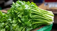 Fresh green celery bunch with bright crisp stalks and vibrant leaves on market display, raw organic produce for healthy cooking and garnish.