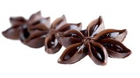 Star anise spice pods isolated on white background for culinary cooking and baking recipes.