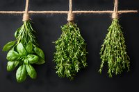 Fresh herbs bunches hanging to dry - basil, thyme and rosemary on rope against dark background. Natural food ingredients for cooking and seasoning.
