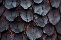 Close-up macro shot of dark brown pine cone scales showing detailed natural texture and layered pattern, suitable for nature and botanical design backgrounds.