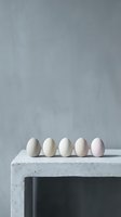 Five pastel colored eggs arranged in row on concrete surface against textured gray wall background for Easter holiday decoration and spring celebration.
