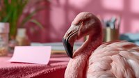 A flamingo with vibrant pink and red plumage stands at a desk workspace with pink tones, office supplies, and plants, suitable for creative business and lifestyle concepts.