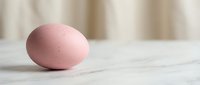 Single pink egg on white wooden surface with soft beige curtain background for Easter holiday cooking and spring celebration concepts.