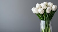 White tulips in clear glass vase against gray wall background, fresh spring flowers with green stems creating minimalist floral arrangement for home decor and celebrations.