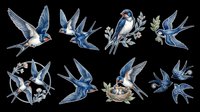 Vintage blue swallow bird clipart set, isolated on transparent background. Eight elegant designs for t-shirt design, stickers, print on demand, and sublimation crafts.