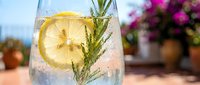 Sparkling water with lemon slice and rosemary sprig in a glass, refreshing summer drink on a sunny outdoor terrace with flowers.