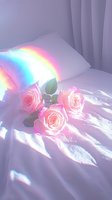 Pink roses on white bedding with rainbow light reflection creating dreamy atmosphere for romantic or wellness concepts.