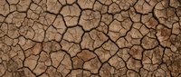 Cracked dry earth texture with deep fissures in brown and tan tones, suitable for backgrounds, environmental graphics, drought concepts, and design overlays.