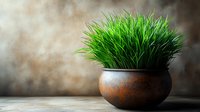 Fresh green grass growing in rustic clay pot against textured wall background, natural home decor element creating peaceful zen atmosphere.