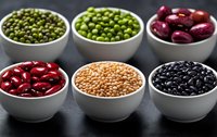Variety of colorful legumes and beans in white ceramic bowls on dark background. Fresh raw ingredients for healthy vegetarian cooking and protein source.