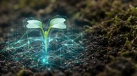 Young green plant seedling emerging from dark soil with glowing digital network connections and data visualization overlay representing growth technology.