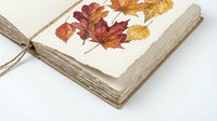 Autumn leaves pressed between pages of an open vintage book with weathered wooden covers and twine binding on white background.
