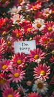 Handwritten apology note nestled among vibrant pink and white daisies, creating a heartfelt message surrounded by colorful blooms in natural sunlight.