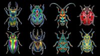 Colorful beetles and insects collection isolated on transparent background, ready for t-shirt designs, clipart, stickers, sublimation and print-on-demand products.