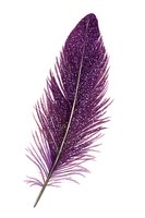 Isolated purple glitter feather with fine details on white background, ready for design projects, clipart, and decorative applications.