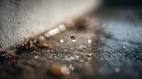 Water droplets on wet asphalt pavement with shallow depth of field creating bokeh light effects and atmospheric mood for weather concepts.