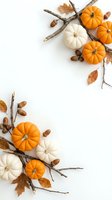 Autumn pumpkins with dried branches and leaves arranged on white background creating seasonal harvest decoration frame with copy space for text.