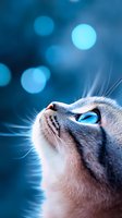 Close-up portrait of cat with bright blue eyes looking up against blurred bokeh background in cool tones, whiskers visible in dramatic lighting.