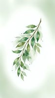 Watercolor green branch with leaves on soft gradient background for botanical art, wedding invitations, and nature-themed designs.