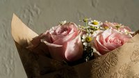 Pink roses and white daisies wrapped in brown kraft paper bouquet for romantic gifts, weddings, anniversaries, and special occasions celebration.