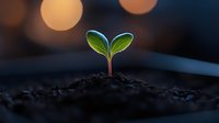 Young green seedling emerging from soil at sunset with bokeh lights, symbolizing growth, new beginnings, and environmental sustainability. Perfect for nature concepts.