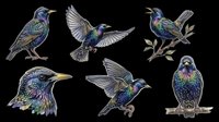 Starling birds in various poses isolated on transparent background, ready for t-shirt design, clipart, stickers, sublimation and print-on-demand products.