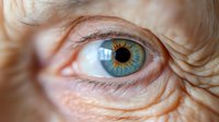 Close-up of elderly person's bright blue eye with detailed iris and pupil, surrounded by natural skin wrinkles and texture. Perfect for healthcare or aging concepts.