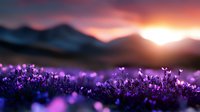 Purple lavender field blooming at golden sunset with mountain landscape backdrop creating romantic scenic nature view for relaxation and wellness themes.