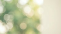Abstract green bokeh background with soft blurred lights and warm golden tones creating dreamy atmosphere for spring designs and natural presentations.