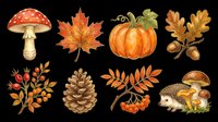 Autumn fall season isolated design elements on transparent background, ready for t-shirt designs, clipart, stickers, sublimation and print-on-demand projects.