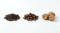 Aromatic spices collection with black peppercorns, allspice berries and nutmeg isolated on white background for culinary and cooking designs.