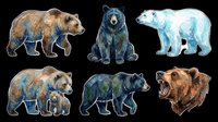 Watercolor bear clipart set with six isolated bears on transparent background, ready for stickers, t-shirt design, print on demand, and sublimation projects.