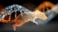 Glowing particle cheetah silhouette running with motion blur effect against dark background, creating dynamic light trail artwork.