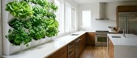 Modern kitchen interior with vertical herb garden wall featuring fresh green plants and sleek wooden cabinets for healthy cooking lifestyle.