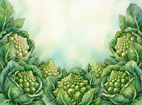 Cauliflower heads with green leaves arranged on soft watercolor background, ideal for organic food packaging, recipe blogs, farmers market promotions, and healthy eating campaigns.