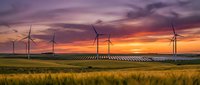 Wind turbines generating renewable energy in golden wheat field at dramatic sunset with purple and orange sky creating sustainable agriculture landscape.