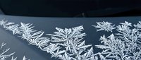 Delicate frost crystals forming intricate ice patterns on dark surface during cold winter morning, showcasing natural crystalline structures and seasonal weather phenomena.