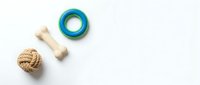 Dog toys collection with rope ball, rubber ring and bone on white background for pet care and training activities.