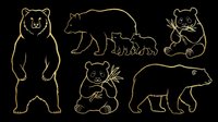 Cute bear cub and adult bear collection isolated on transparent background. Line art style drawings ready for t-shirt design, clipart, stickers, sublimation and print-on-demand projects.