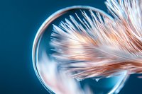 Delicate white and coral feather reflected in mirror against deep turquoise background, creating ethereal macro photography composition with soft focus effect.