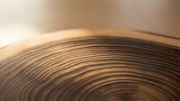 Close-up of cymbal surface showing detailed grooves and metallic texture, suitable for music production, percussion instrument documentation, and audio equipment marketing.