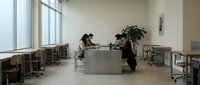 Young woman and man of mixed ethnicity sitting at modern gray desk in bright minimalist office space with large windows, potted plant, and wooden chairs for business meeting or collaboration.