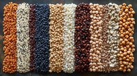 Variety of raw legumes and beans arranged in vertical stripes pattern on dark background, including lentils, chickpeas, navy beans and black beans, top view.