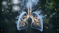 Glowing anatomical lungs with bronchial tree illuminated against dark background, smoke effect and bokeh lights creating medical visualization.