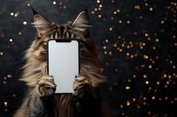 Maine Coon cat holding blank white smartphone screen with paws against dark background with golden bokeh lights, mockup for app or mobile design.