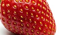 Ripe red strawberry with yellow seeds on white background, suitable for food, nutrition, healthy eating, and culinary design projects.