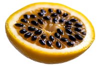Fresh cut yellow lemon with black seeds arranged in circular pattern on white background, macro food photography showing detailed texture and juicy pulp.