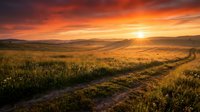 Scenic rural landscape with golden wheat fields and dirt road at sunset, warm orange sky with sun on horizon, rolling hills and countryside scenery for travel and nature projects.