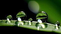 Water droplets on fresh green leaf surface with natural bokeh background creating peaceful morning dew scene for wellness and nature concepts.