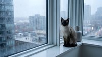 Siamese cat sitting on windowsill overlooking urban cityscape from high-rise apartment, suitable for pet, lifestyle, and interior design projects.